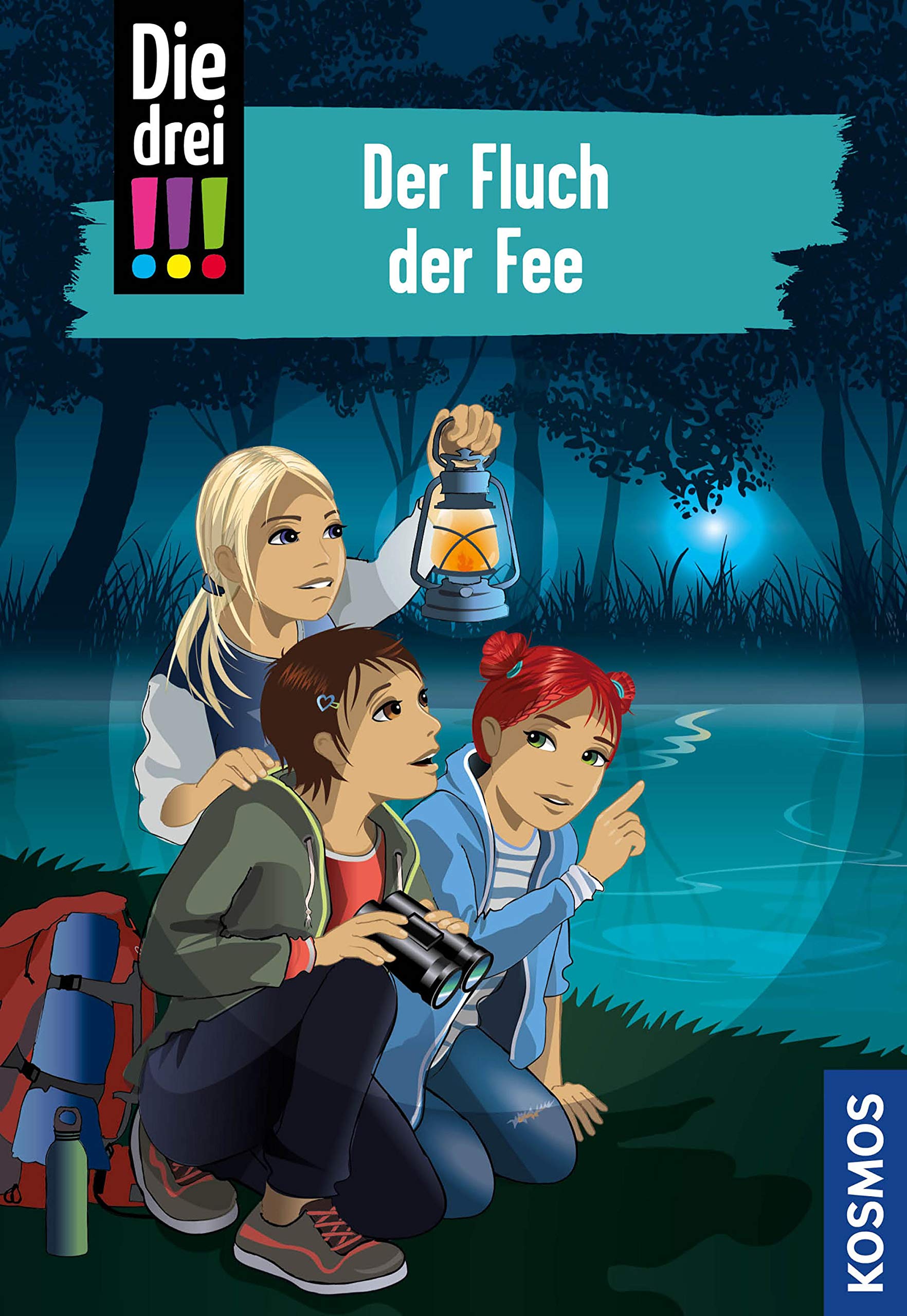 Fluch der Fee book cover