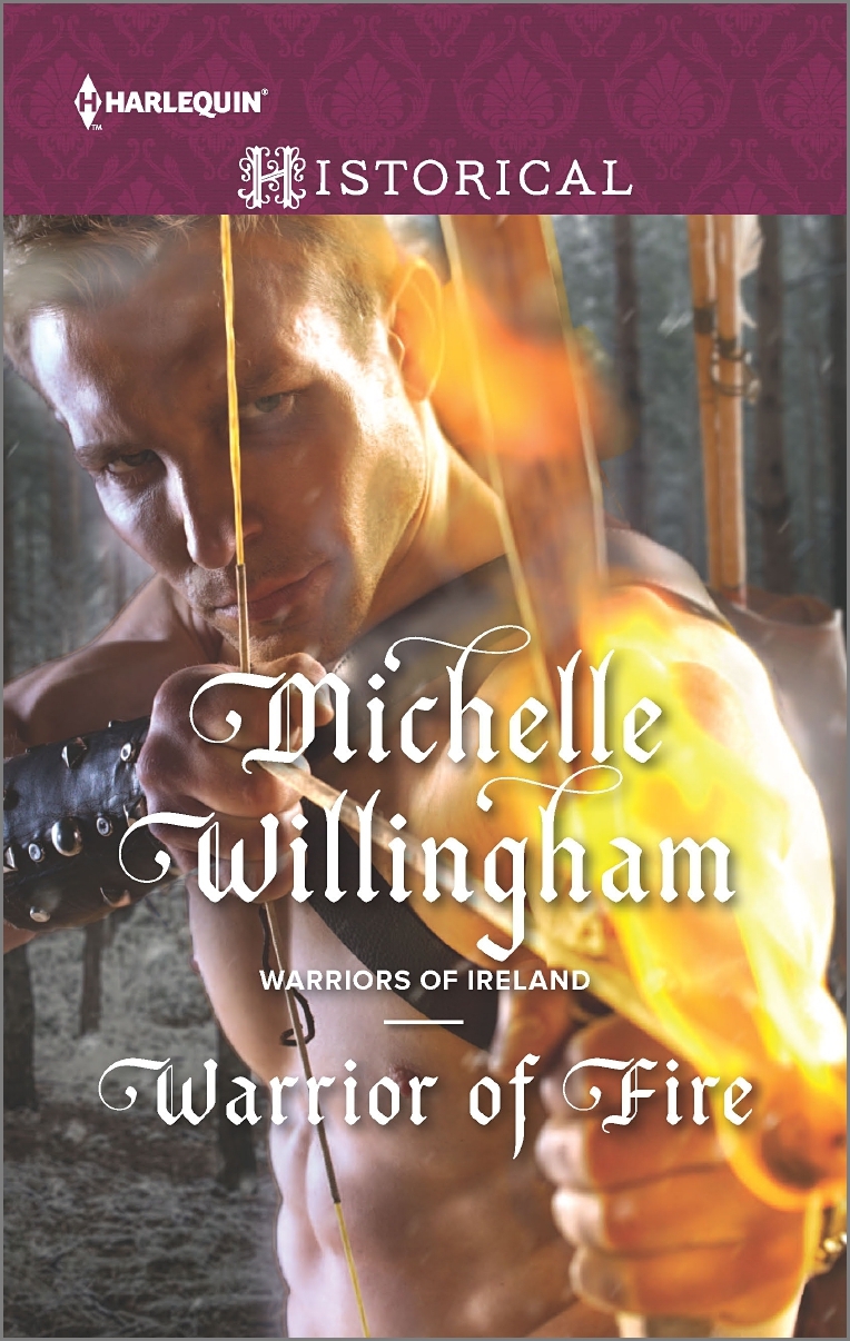 Warriors of Ireland book cover 2