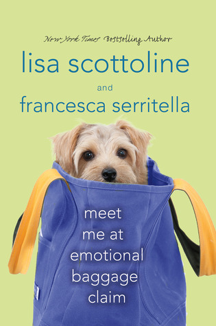 Meet Me at Emotional Baggage Claim book cover