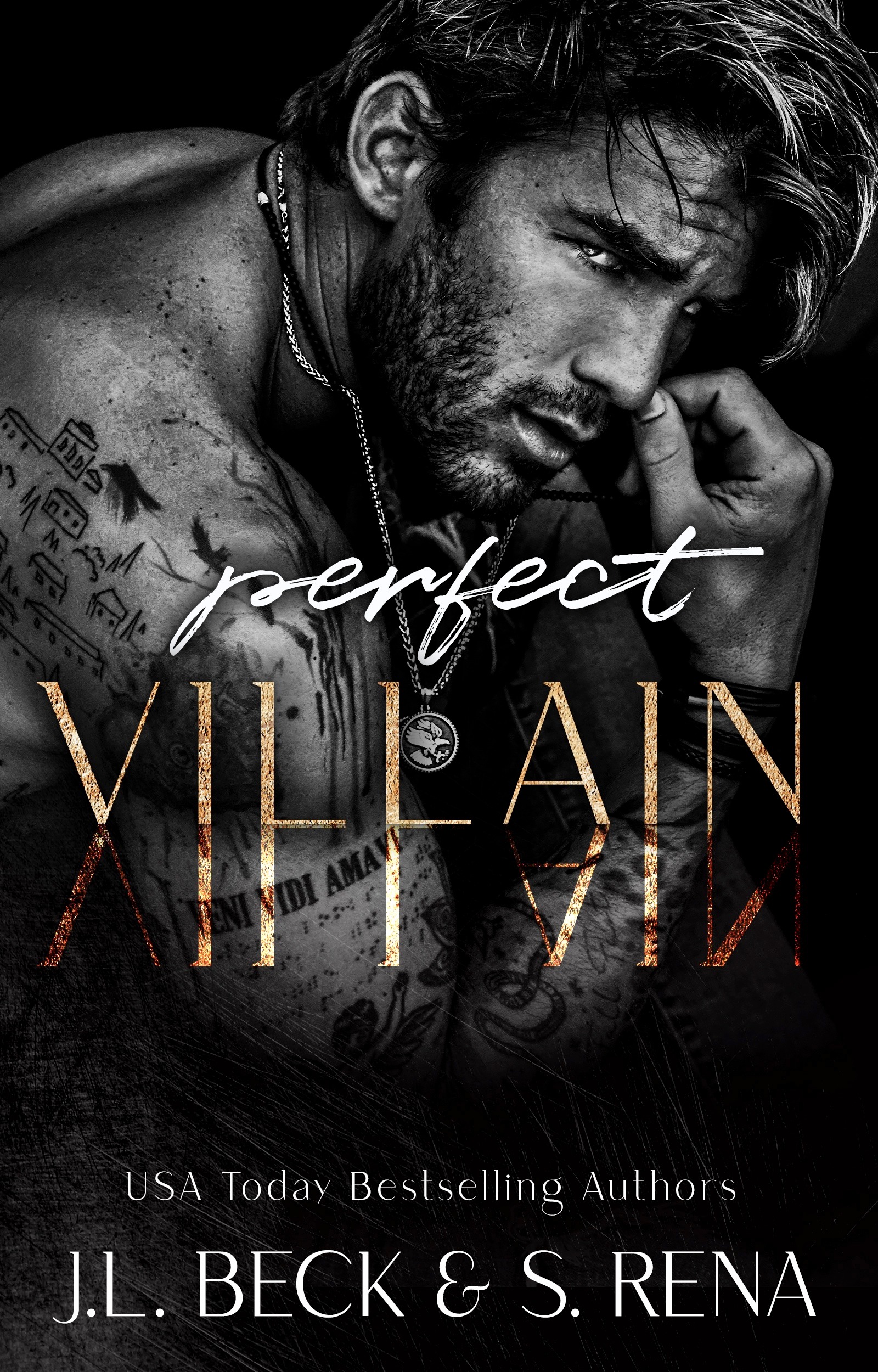 Dark Lies book cover 1
