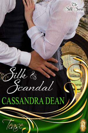 Silk book cover 1