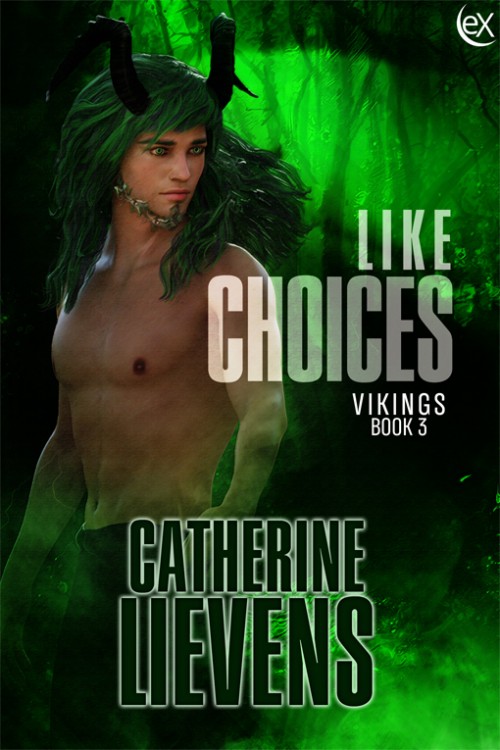 Vikings book cover 3
