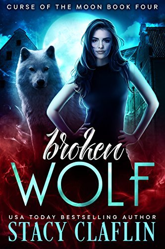 Broken Wolf book cover