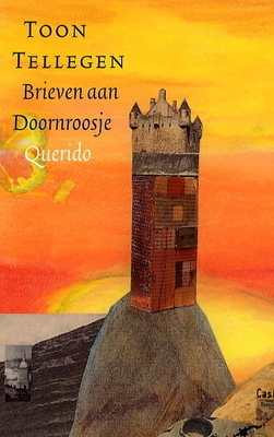 Brieven aan Doornroosje book cover