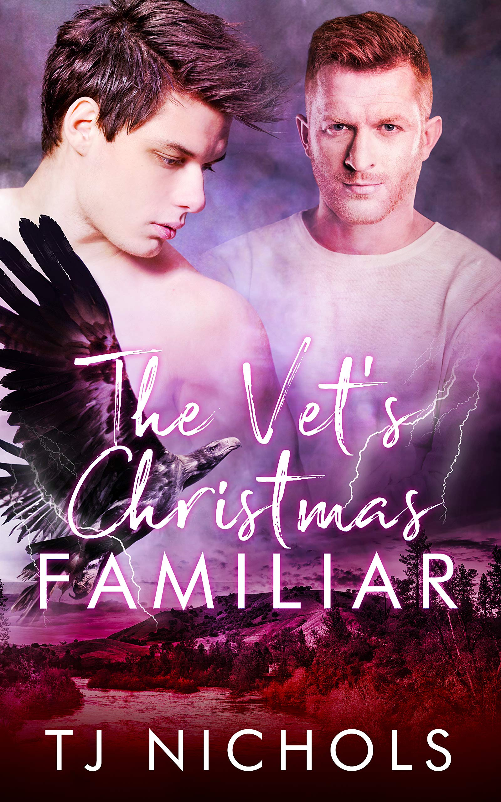 The Vet's Christmas Familiar book cover