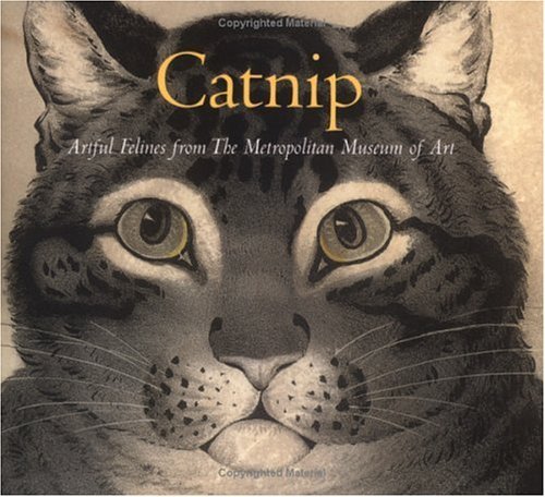 Catnip book cover