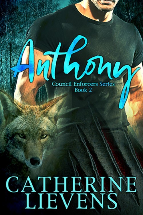 Council Enforcers book cover 2