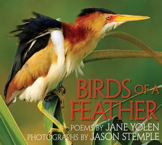 Birds of a Feather book cover