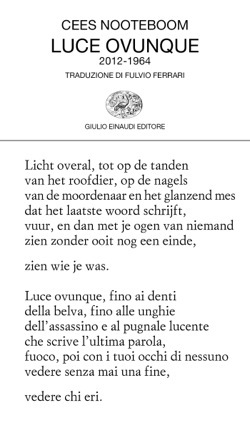 Light Everywhere book cover