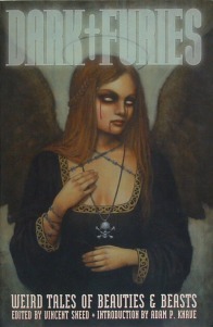 Dark Furies book cover