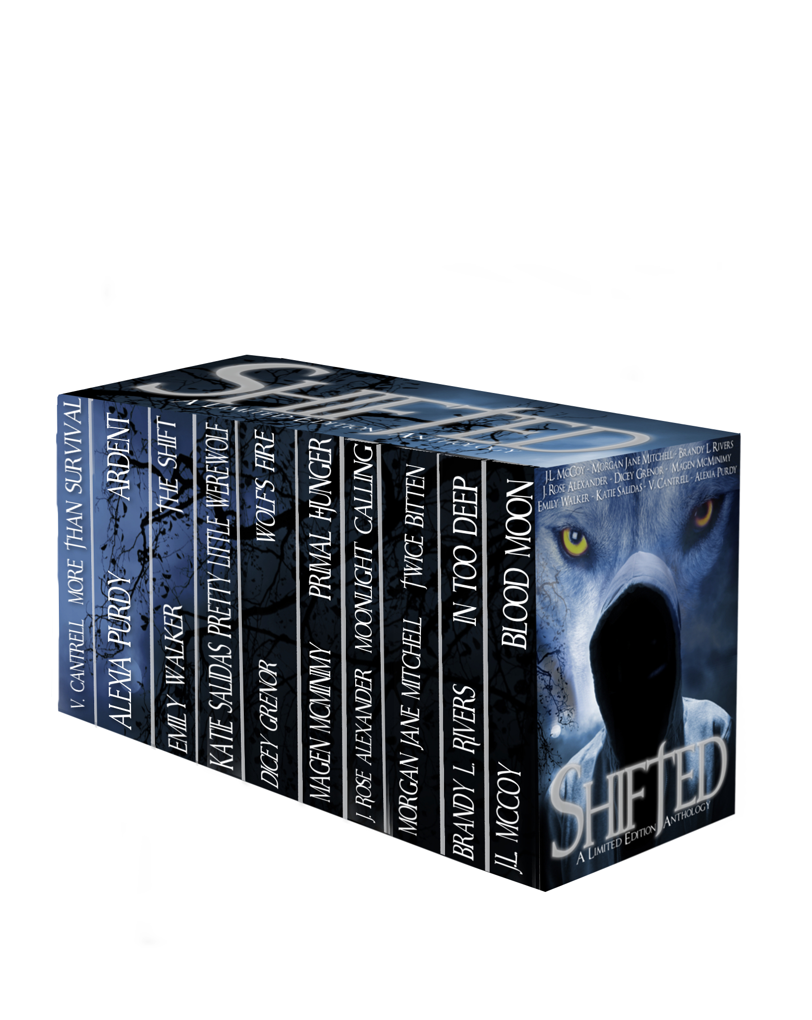 Shifted book cover