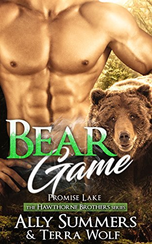 Hawthorne Brothers book cover 1