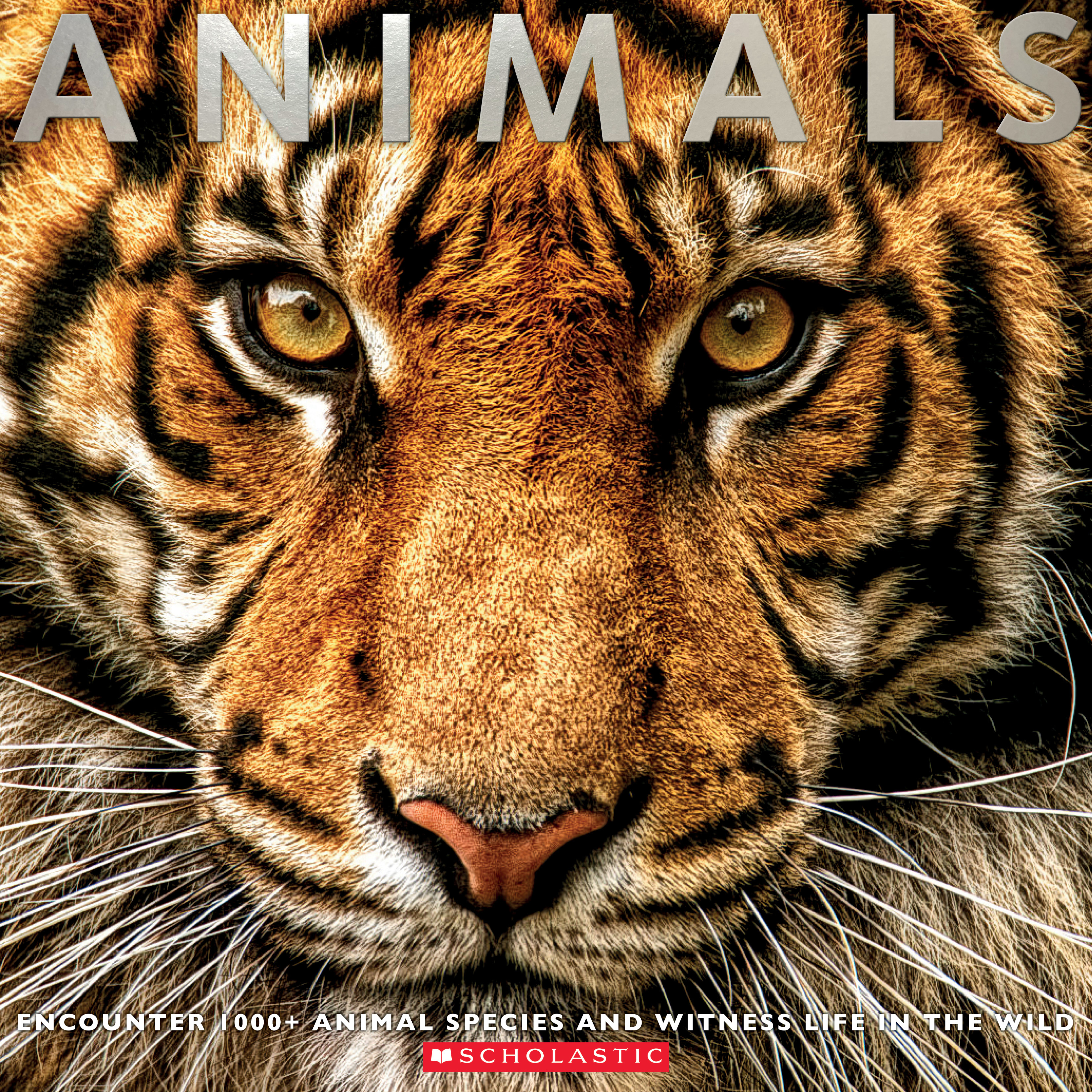 Animals book cover