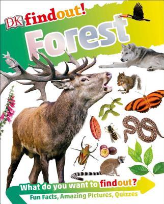 DKfindout! Forest book cover