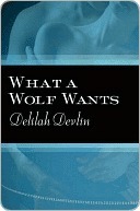 What a Wolf Wants book cover