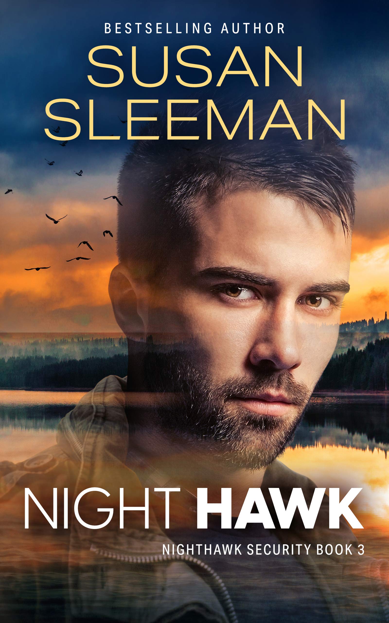 Nighthawk Security book cover 3