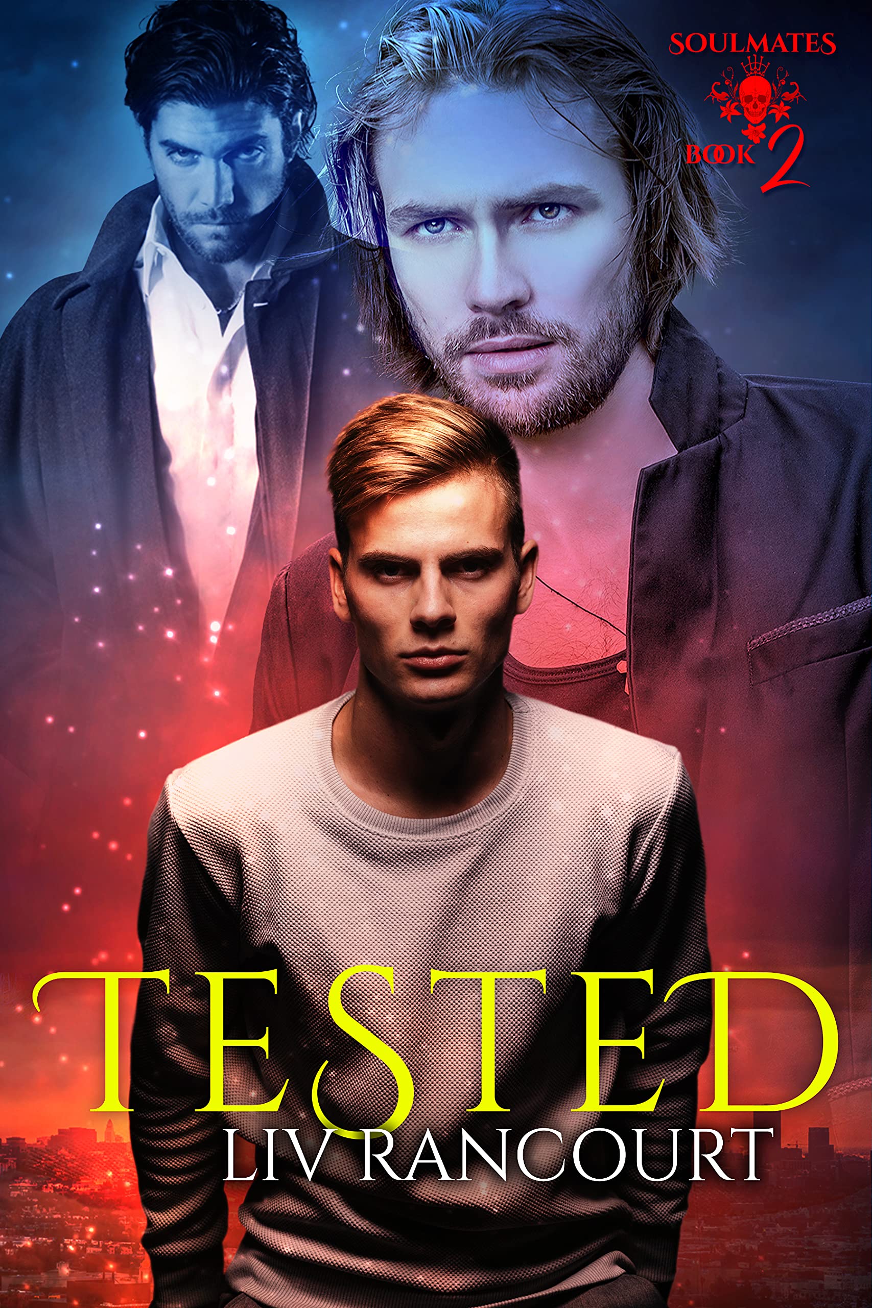 Soulmates book cover 2