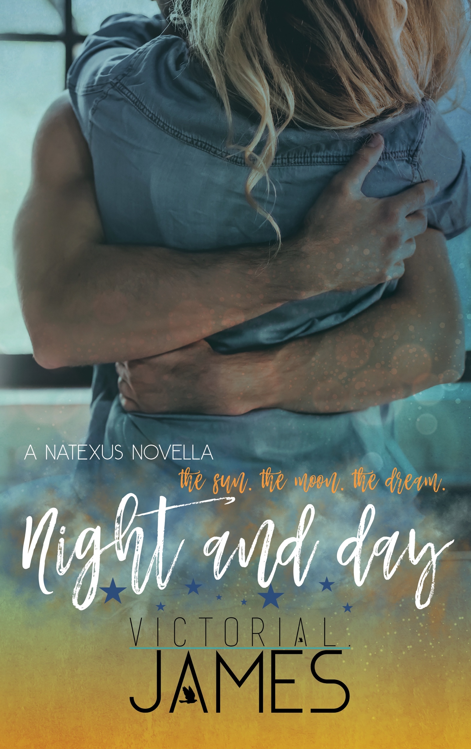 Night and Day book cover