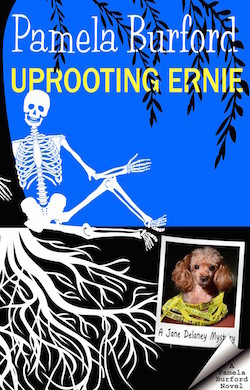 Jane Delaney Mysteries book cover 2