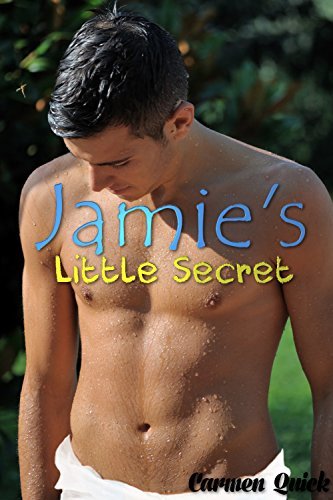 Jamie's Little Secret book cover