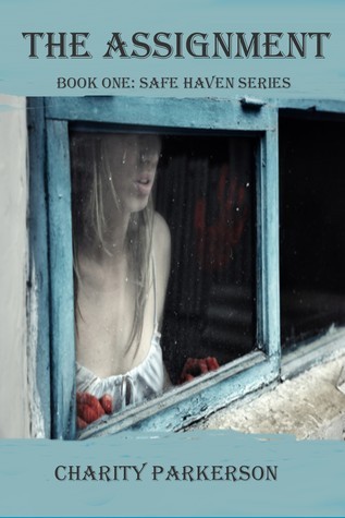 Safe Haven book cover 1