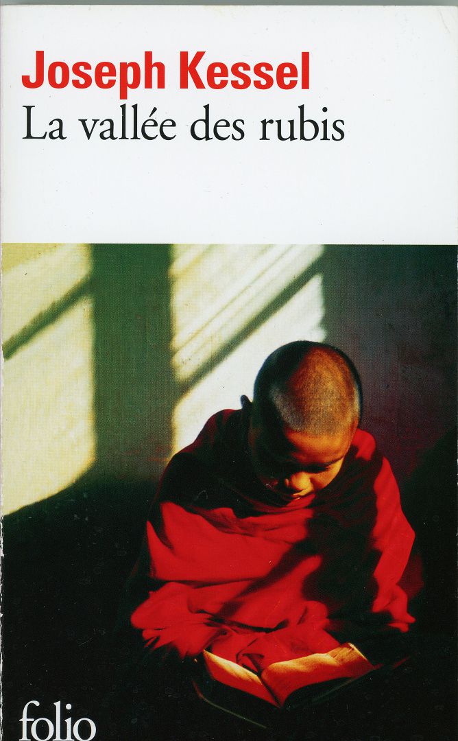 The Valley of Rubies book cover