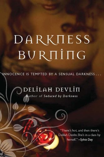 Darkness Burning book cover