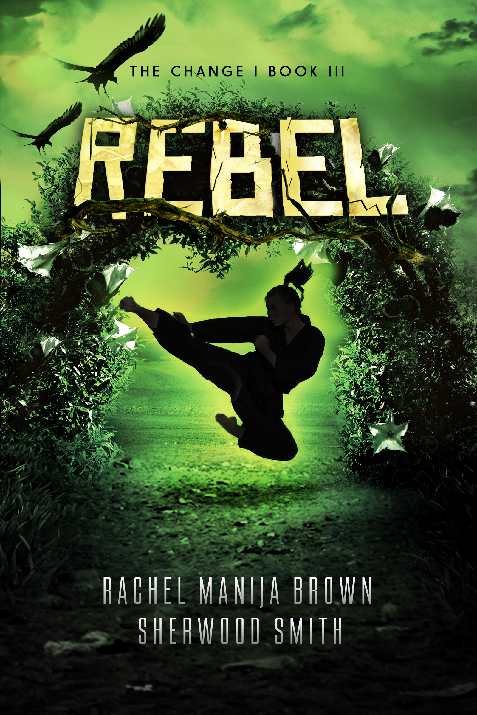 The Change book cover 3