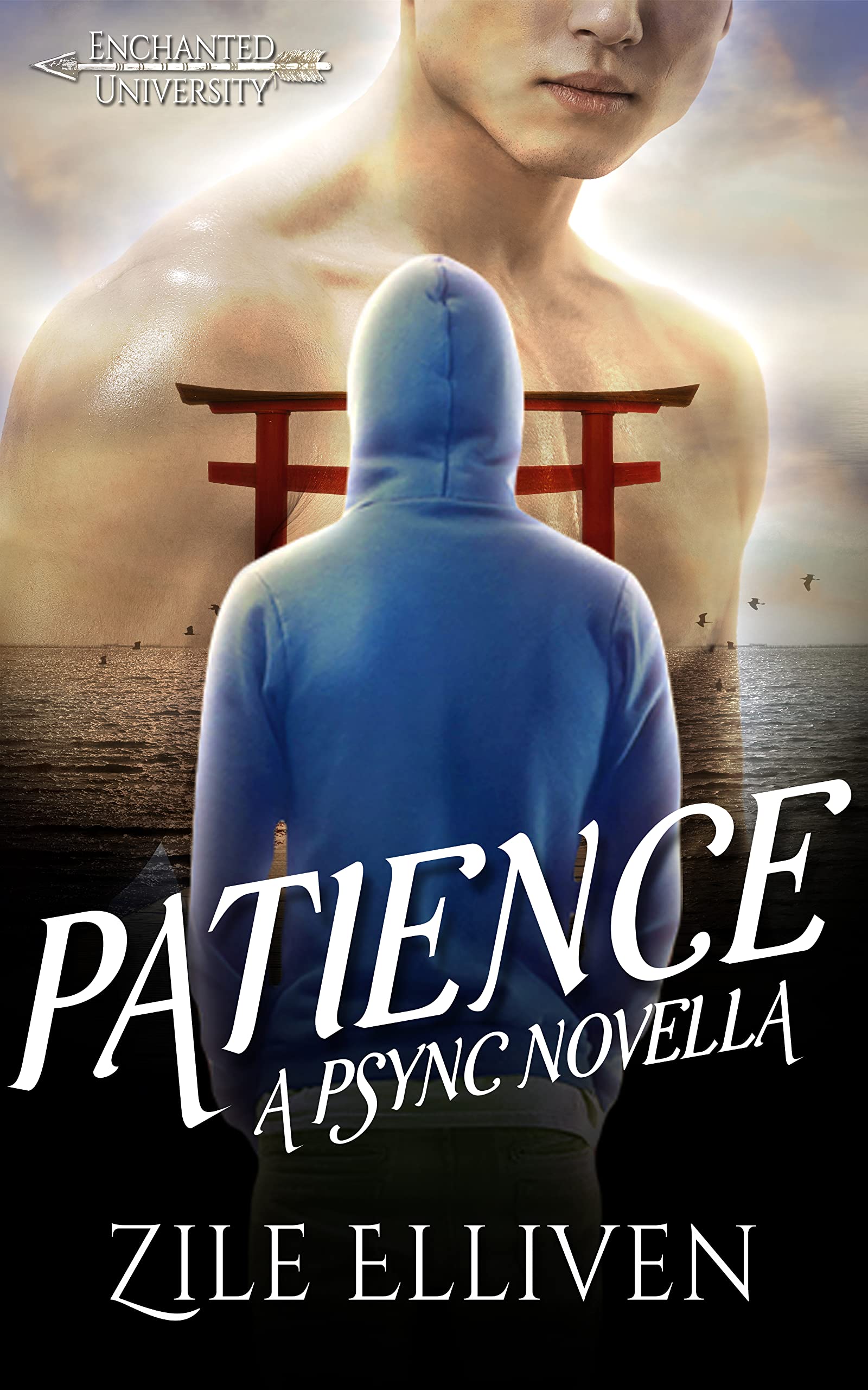 Patience book cover