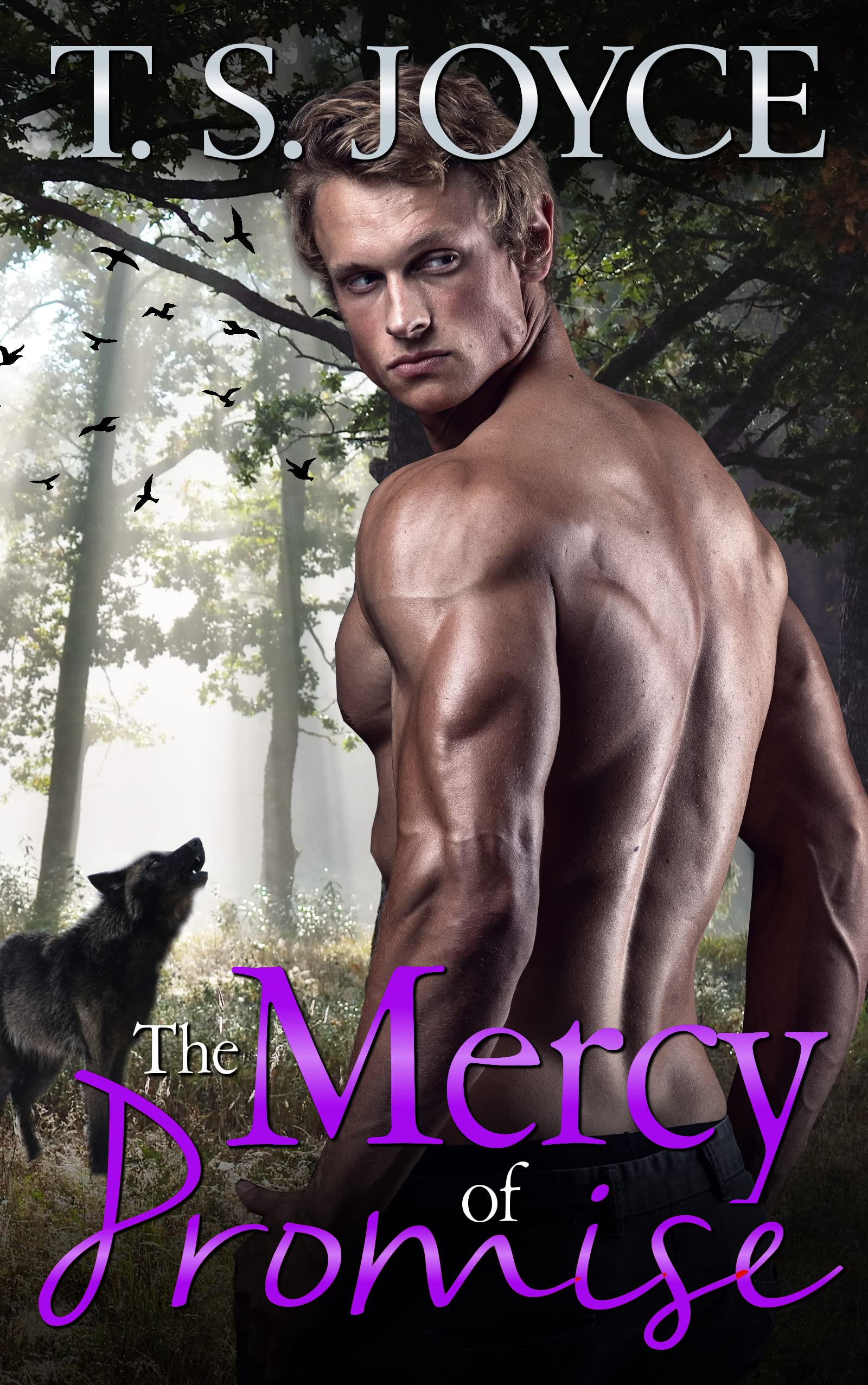 The Mercy of Promise book cover