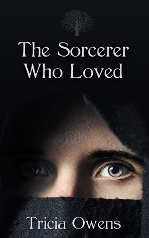 The Sorcerer Who Loved book cover