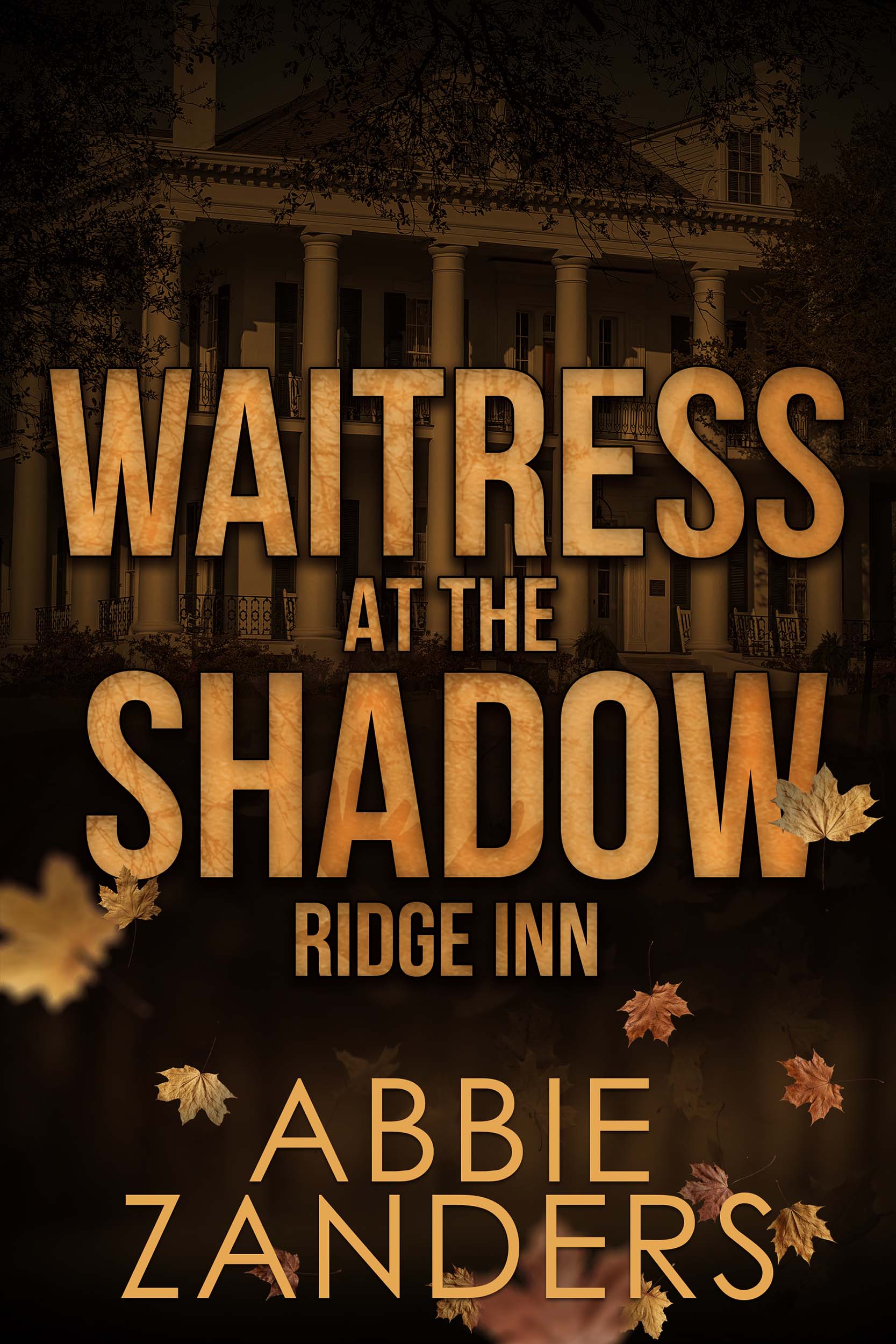 Waitress at the Shadow Ridge Inn book cover