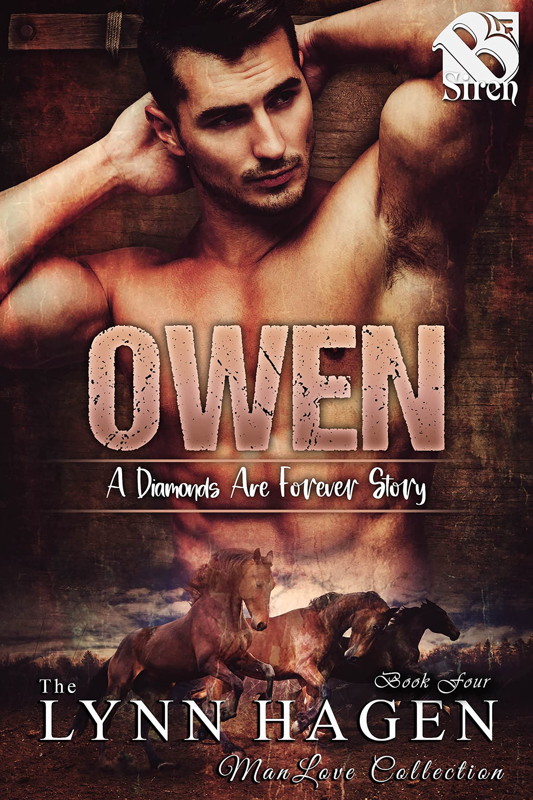 Owen book cover