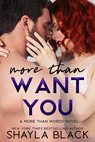 More Than Want You book cover