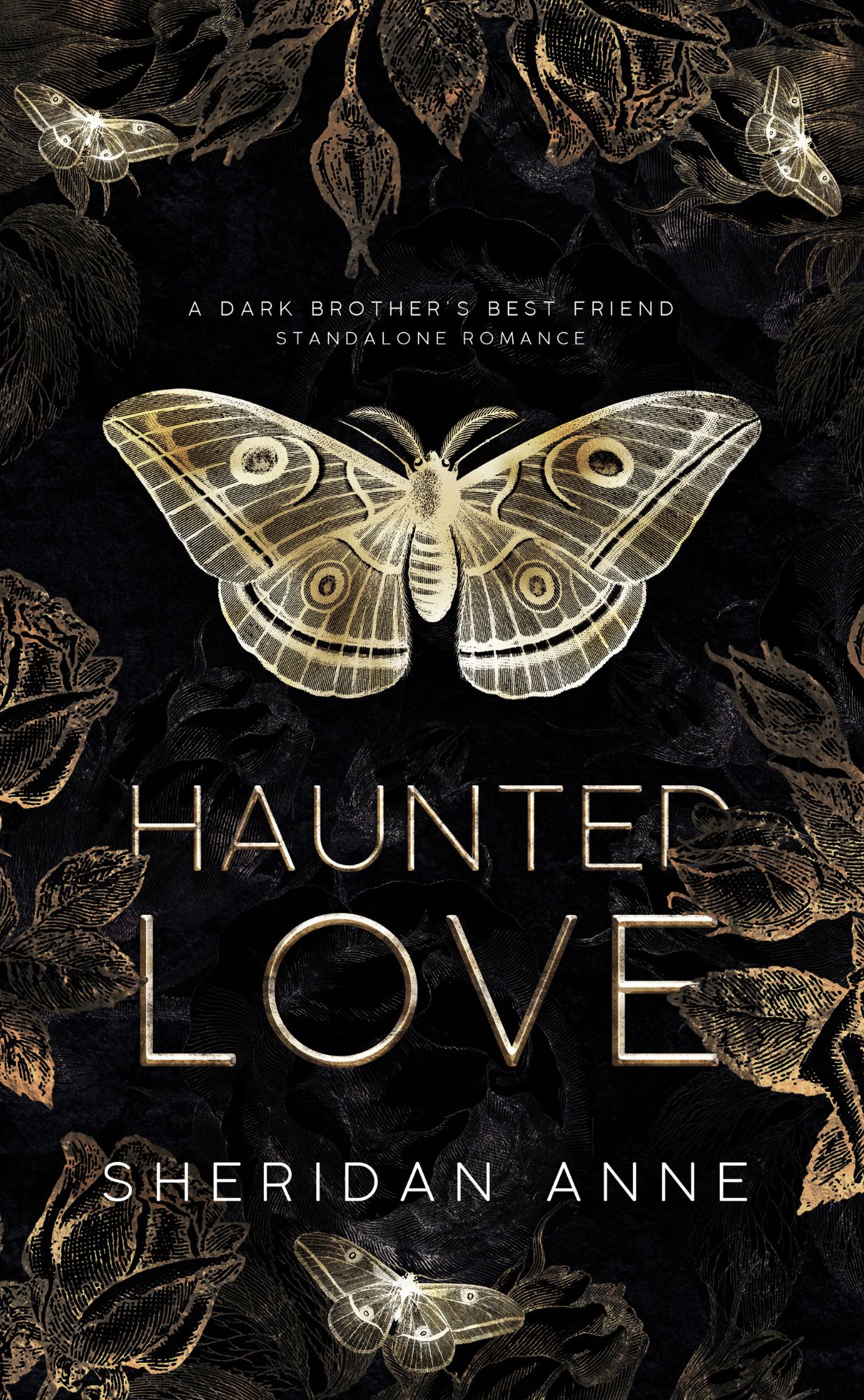 Haunted Love book cover