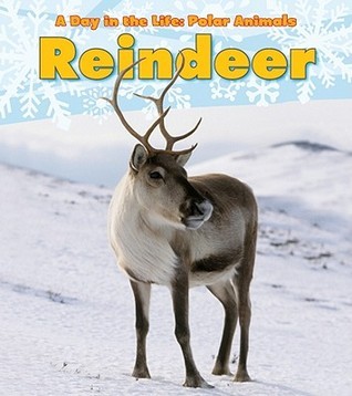 Reindeer book cover