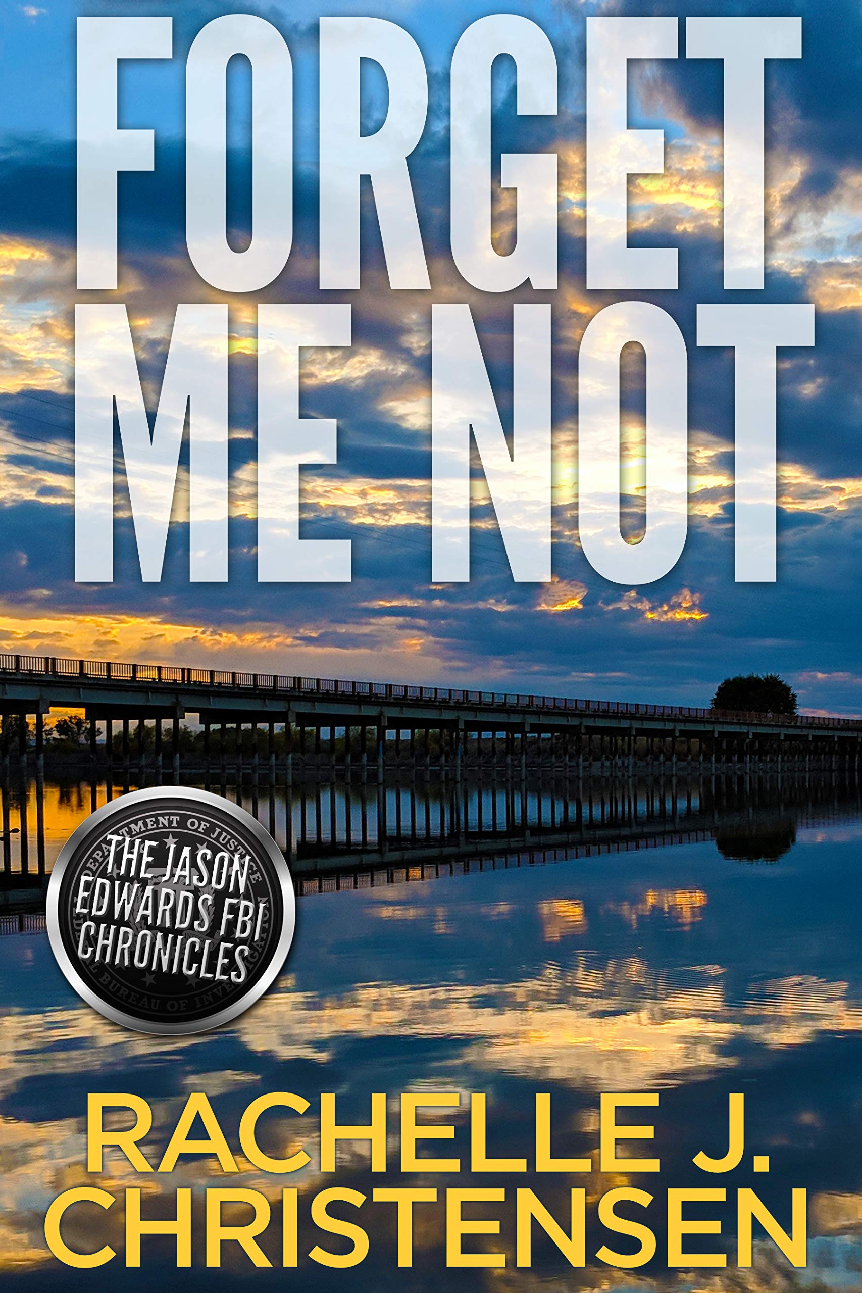 Jason Edwards FBI Chronicles book cover 3