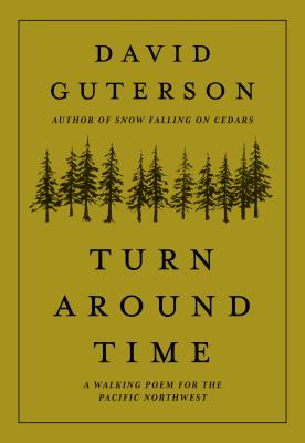 Turn Around Time book cover