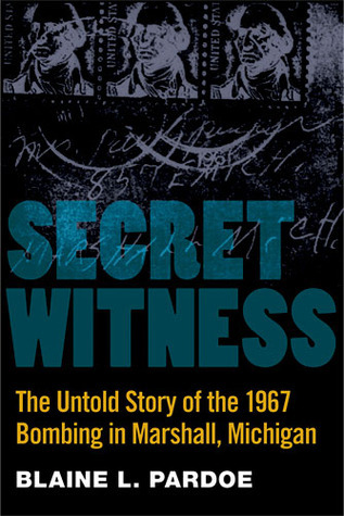 Secret Witness book cover