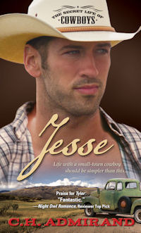 The Secret Life of Cowboys book cover 3