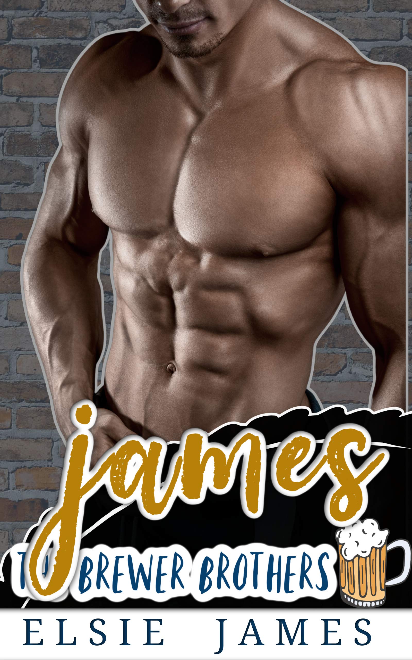 The Brewer Brothers book cover 2