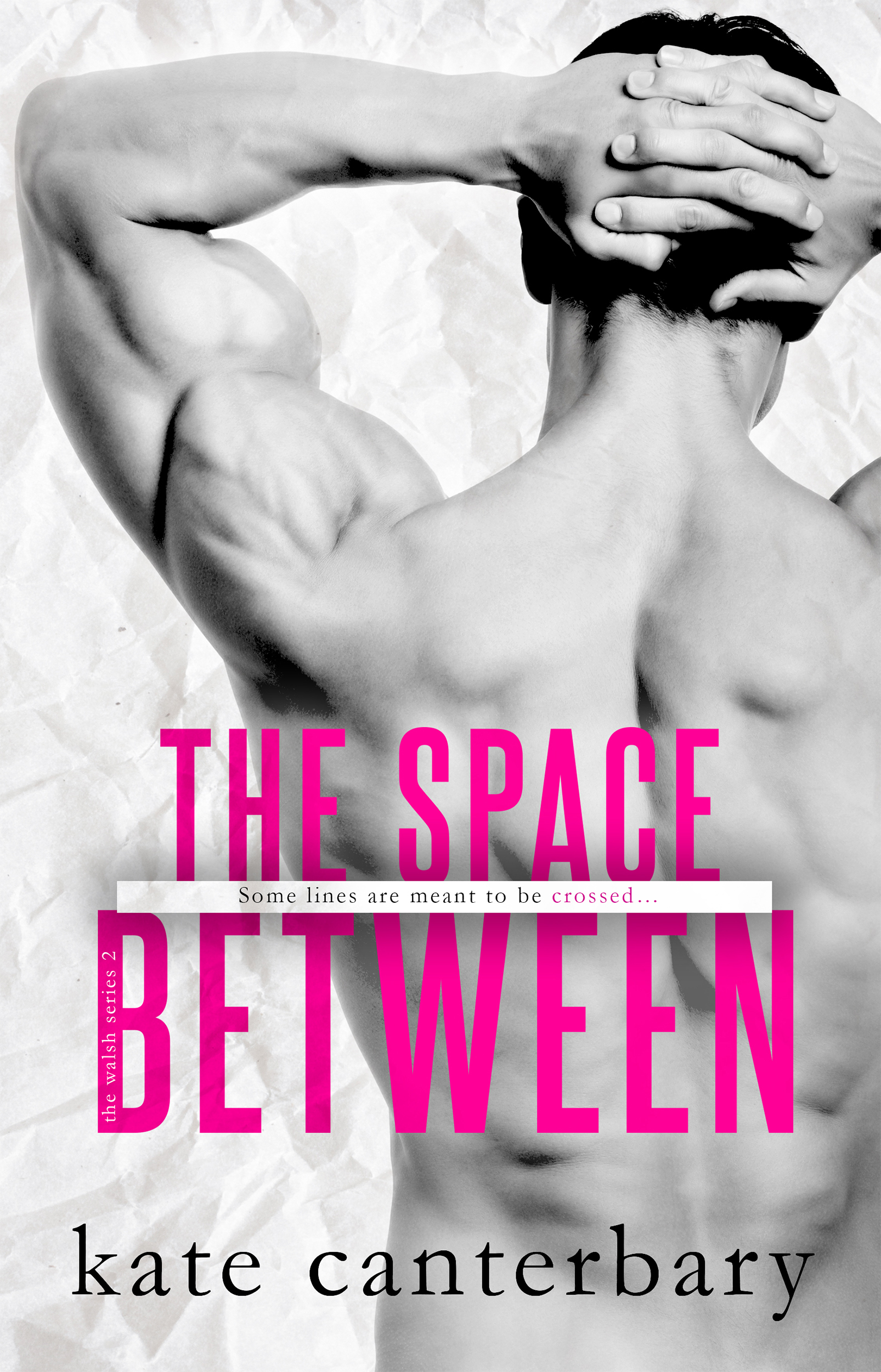 The Walshes book cover 2