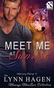 Meet Me at Sunrise book cover
