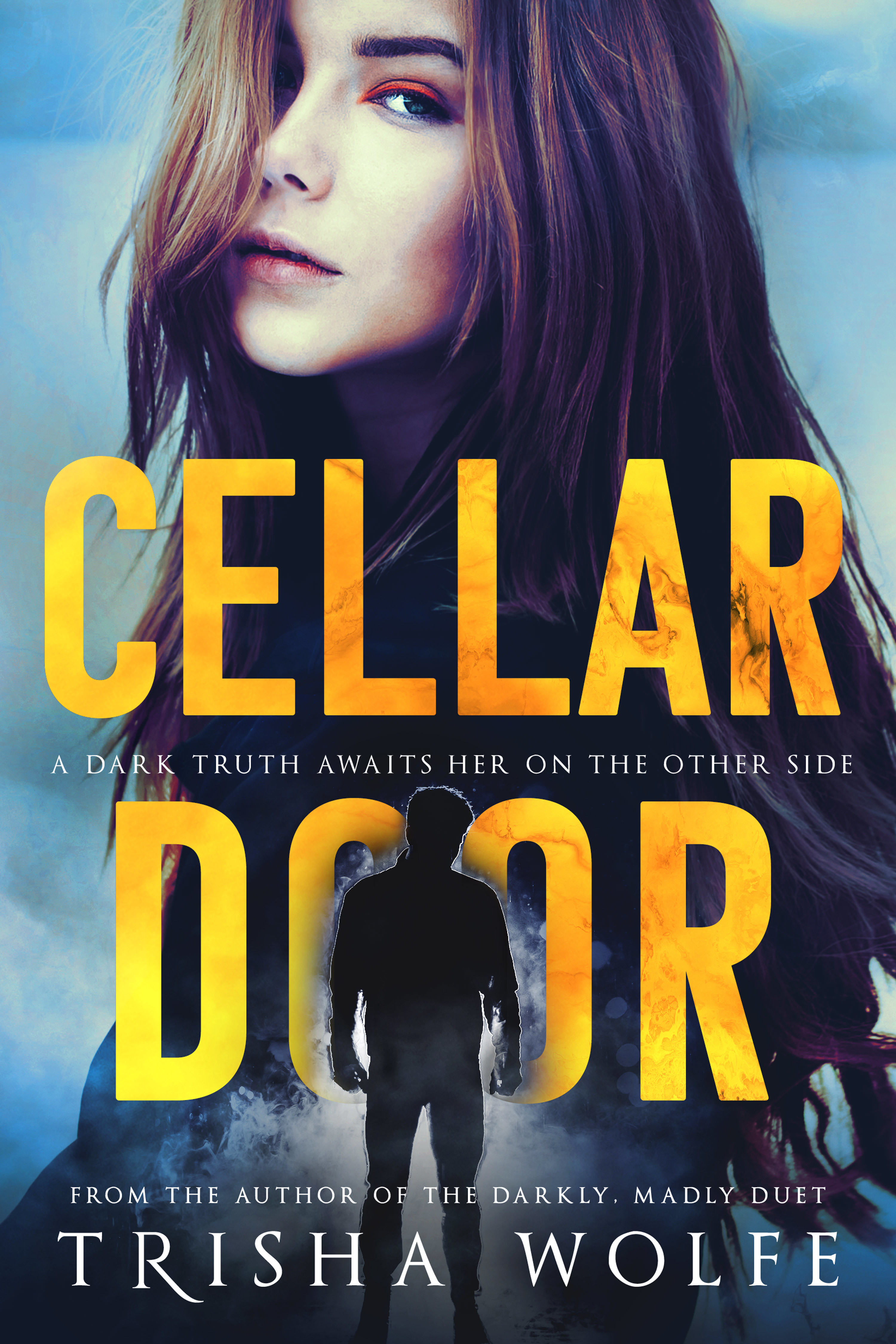 Cellar Door book cover