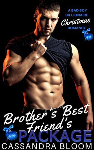 Brother's Best Friend's Package book cover