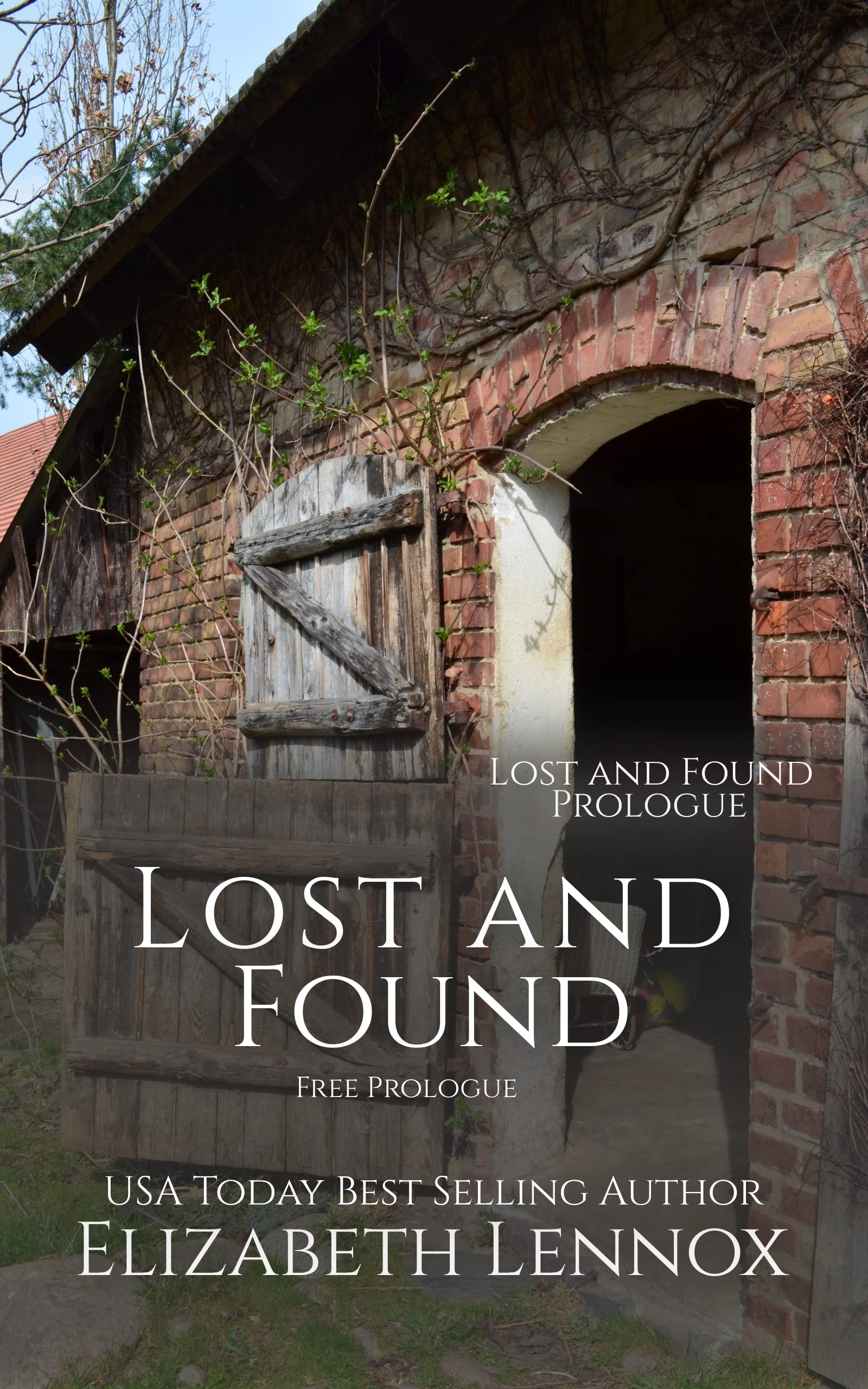 Lost and Found book cover