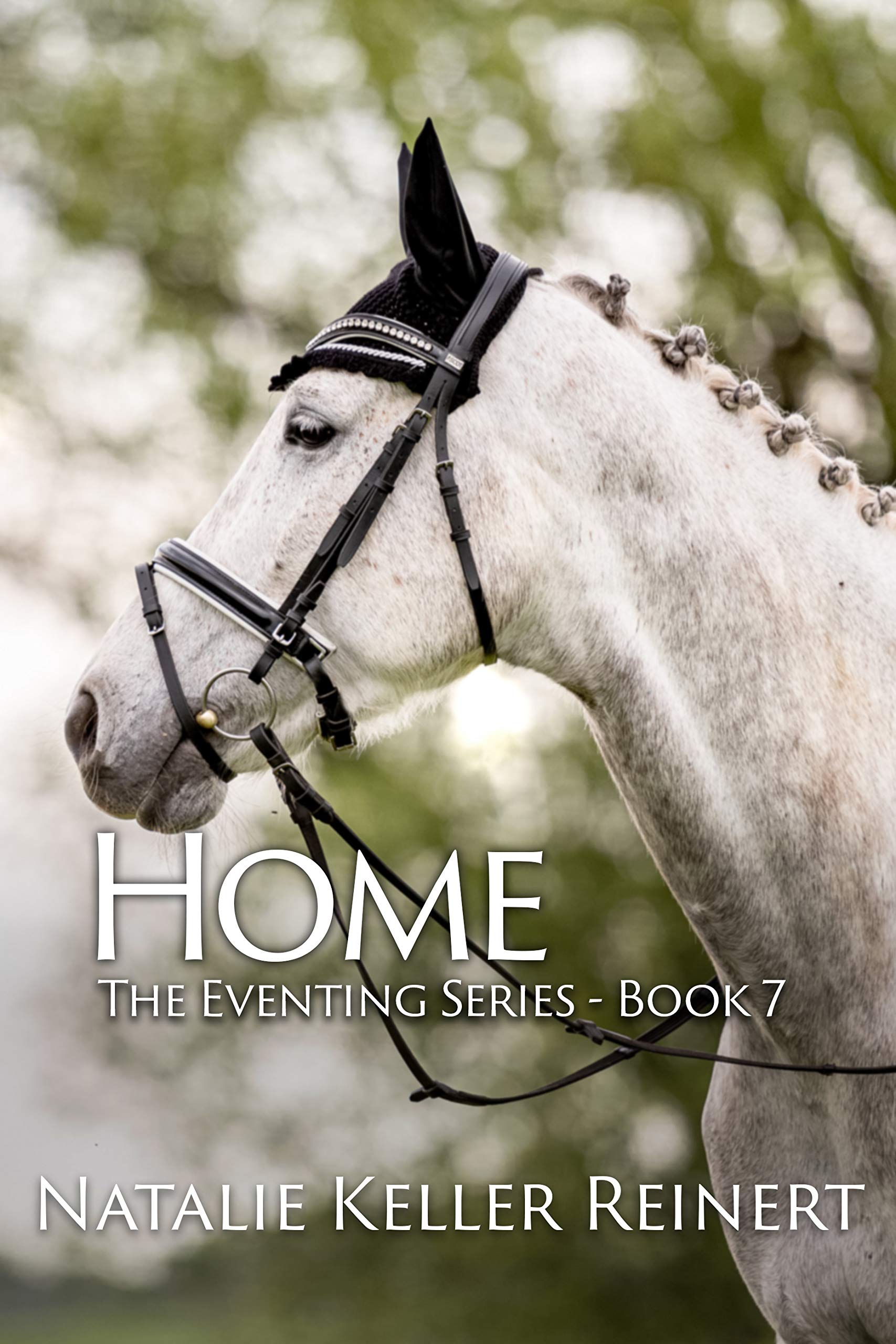 Home book cover