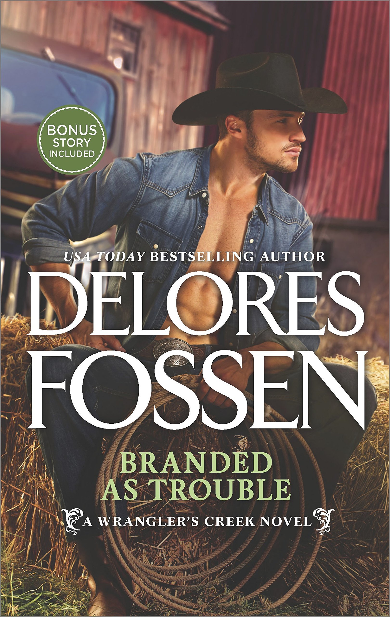 Wrangler's Creek book cover 3