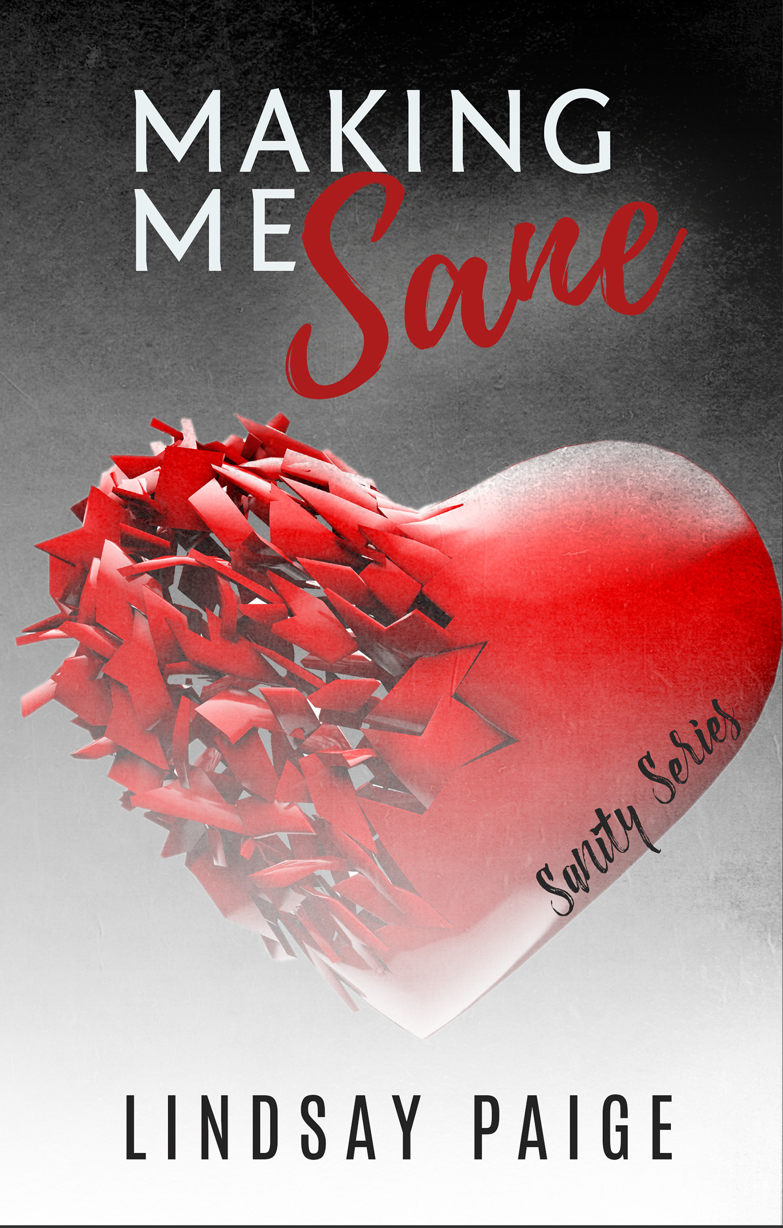 Sanity book cover 1