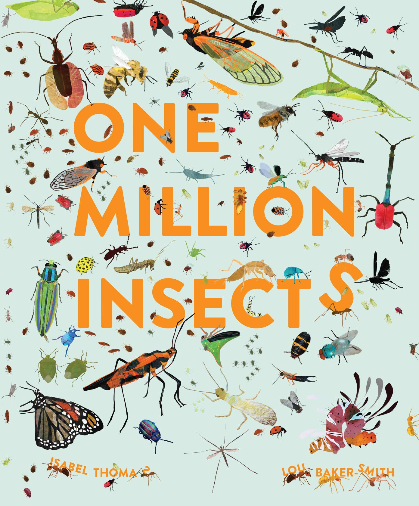 One Million Insects book cover